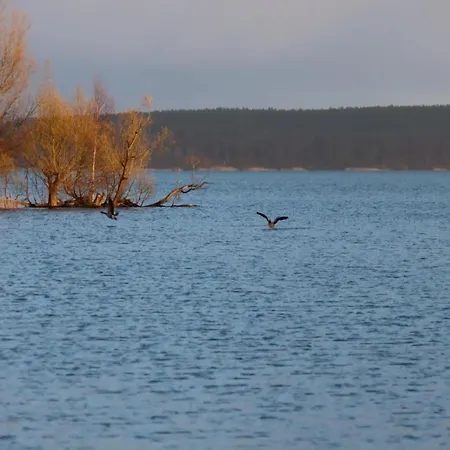 Apartment Hafenflair On Lake Plauer Plau am See