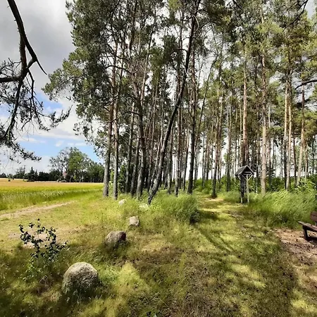 Hafenflair Am Plauer