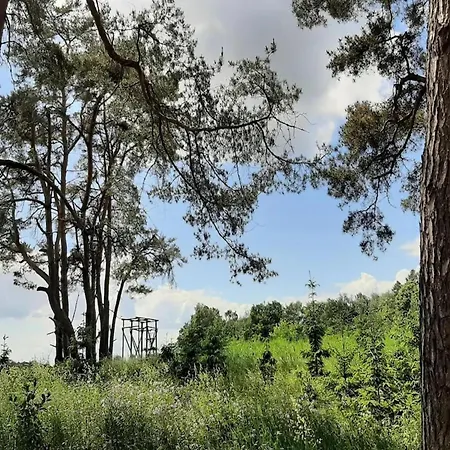 Hafenflair Am Plauer *