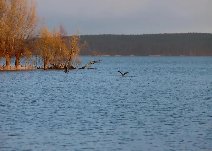 Hafenflair Am Plauer Plau am See