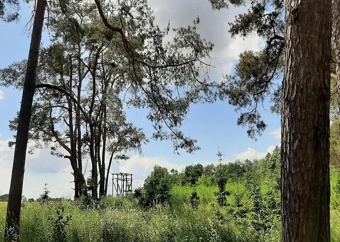 Hafenflair Am Plauer *